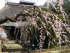 �Ö��Ƃ��H�����Ȃ邹